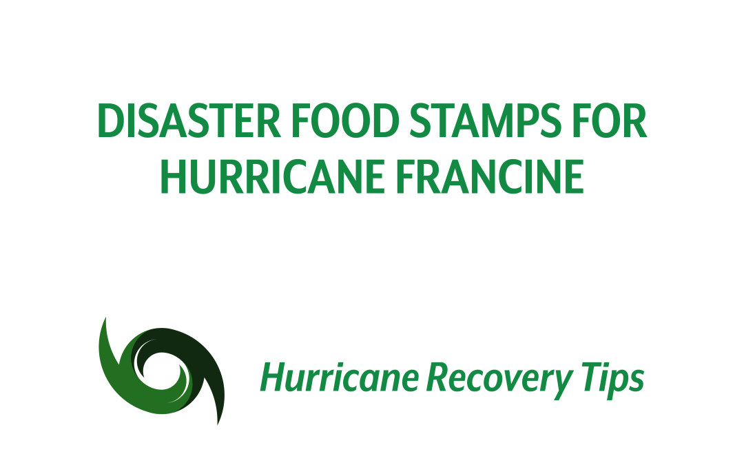 Disaster Food Stamps for Hurricane Francine