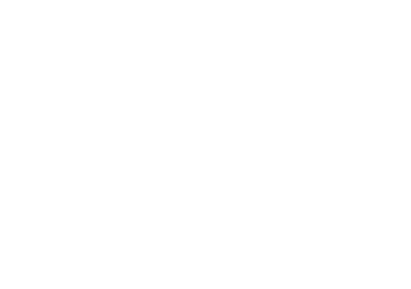 Louisiana Bar Foundation